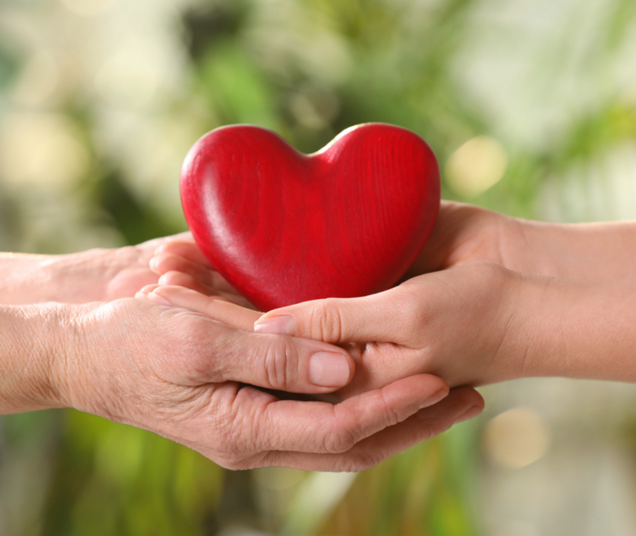 Understanding Organ Donation: How Seniors Benefit from National Donor Day Awareness